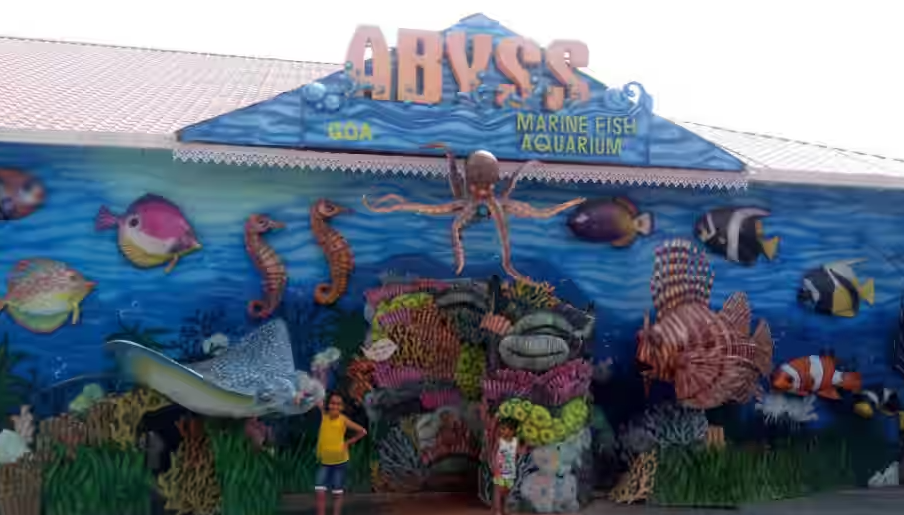 Abyss Marine Fish Aquarium, South Goa, Goa - Vushii.com Abyss Marine Fish Aquarium, South Goa, Goa - Vushii.com